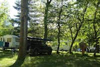 Camping Rio Verde  -  Stellplatz vom Campingplatz zwischen Bäumen
