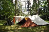 Camping Rio Verde  -  Zeltplatz vom Campingplatz im Schatten der Bäume