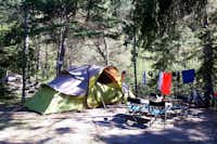 Camping Rioclar - Zeltplatz im Schatten der Bäume