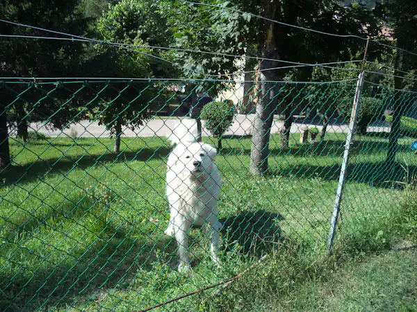 Camping Riva del Setta