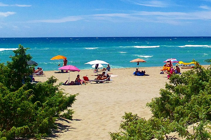 Sandstrand mit mehreren Sonnenschirmen und Liegestühlen, Urlauber am Wasser, im Vordergrund Büsche und Blick aufs Meer.