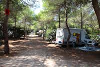 Camping Riva di Ugento - Zelt- und Wohnwagenstellplatz umringt von Wald auf dem Campingplatz