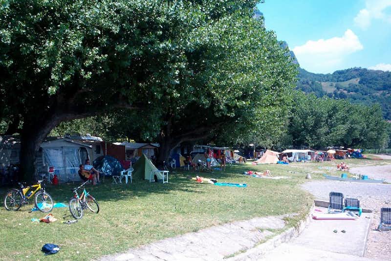 Camping Rivabella - Wohnwagen und Wohnmobile unter Bäumen auf dem Campingplatz