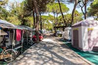 Camping Rivaverde - Wohnmobilstellplätze im Schatten der Bäume auf dem Campingplatz