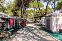 Camping Rivaverde - Wohnmobilstellplätze im Schatten der Bäume auf dem Campingplatz