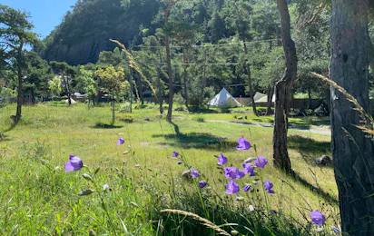 Camping River (Méolans-Revel)