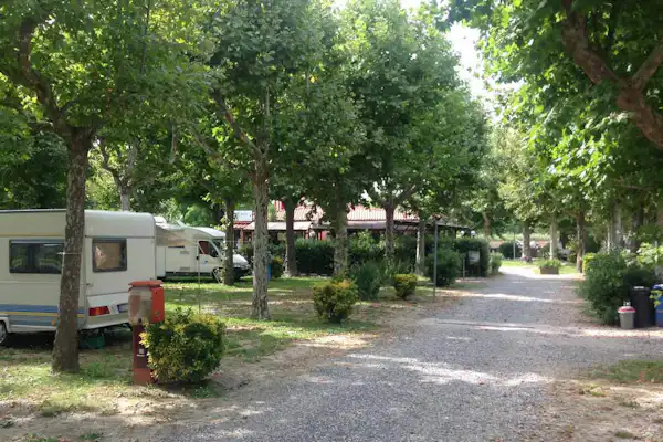 Camping River (Ameglia)