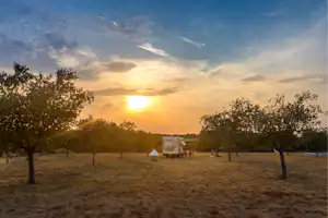 Wohnmobil auf einem Campingplatz zwischen Bäumen, mit Sitzgelegenheiten und Sonnuntergang am Himmel.