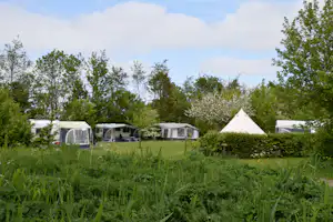 Camping Robersum - Zeltwiese