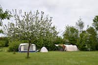 Camping Robersum - Zeltplätze im Grünen