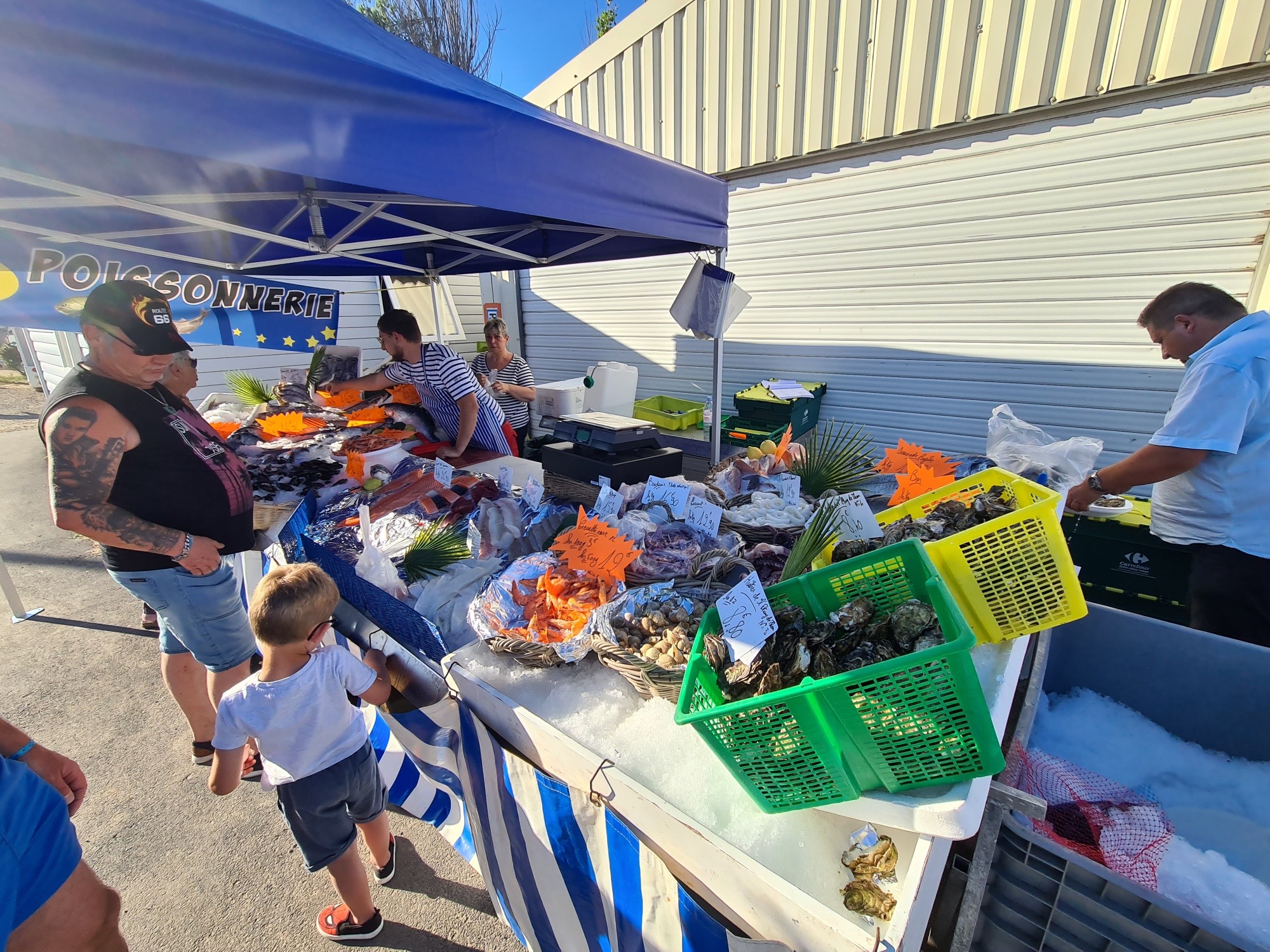 Camping Paradis Robinson