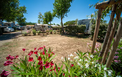 Camping Paradis Robinson