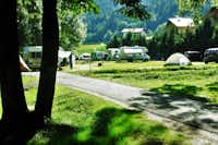 Camping Rocchetta  -  Stellplatz vom Campingplatz im Grünen