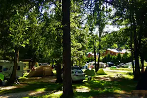 Camping Rocchetta - Zeltplatz vom Campingplatz im Schatten von Bäumen