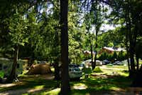 Camping Rocchetta  -  Zeltplatz vom Campingplatz im Schatten von Bäumen