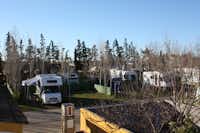 Camping Roche - Wohnwagen- und Wohnmobilstellplätze vom Campingplatz zwischen Bäumen