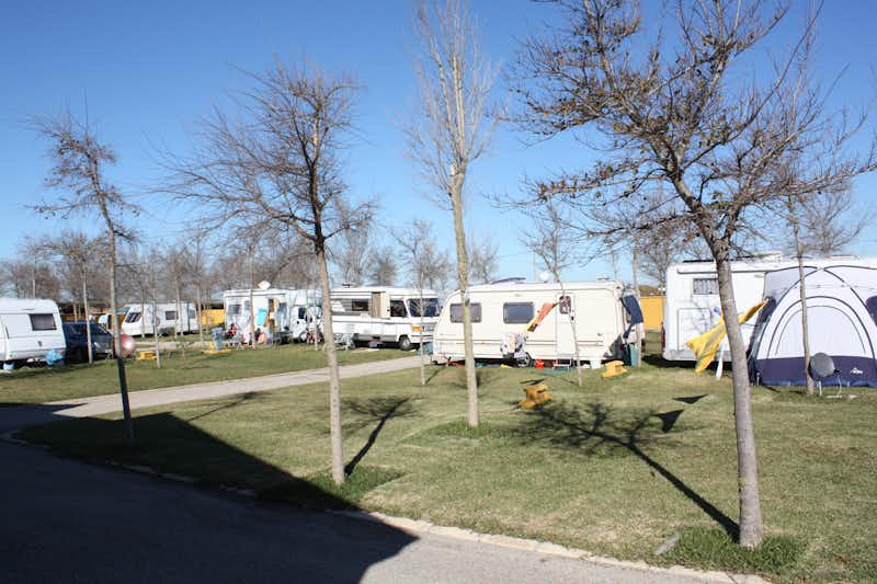 Camping Roche - Wohnwagen- und Zeltstellplatz vom Campingplatz zwischen Bäumen