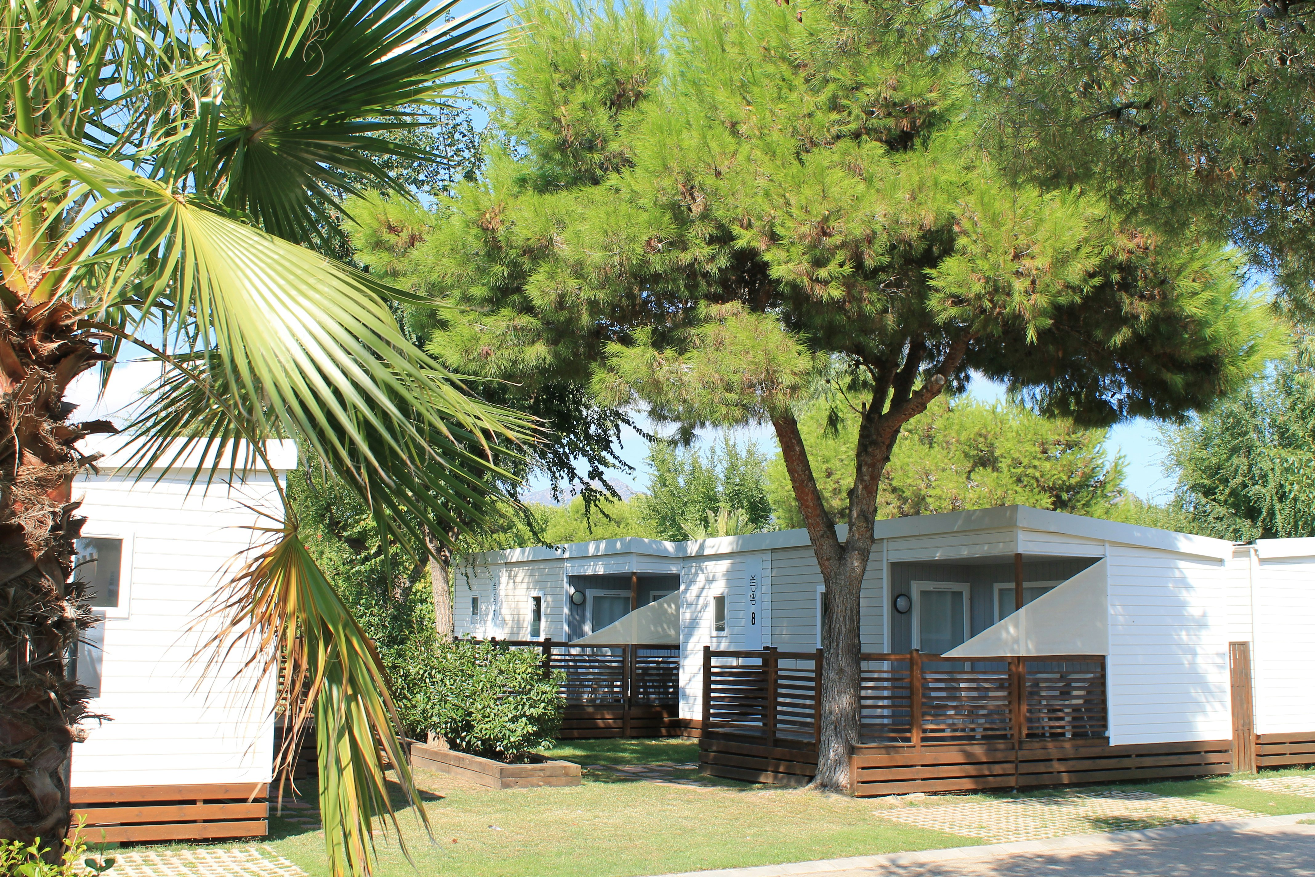 Camping Rodas