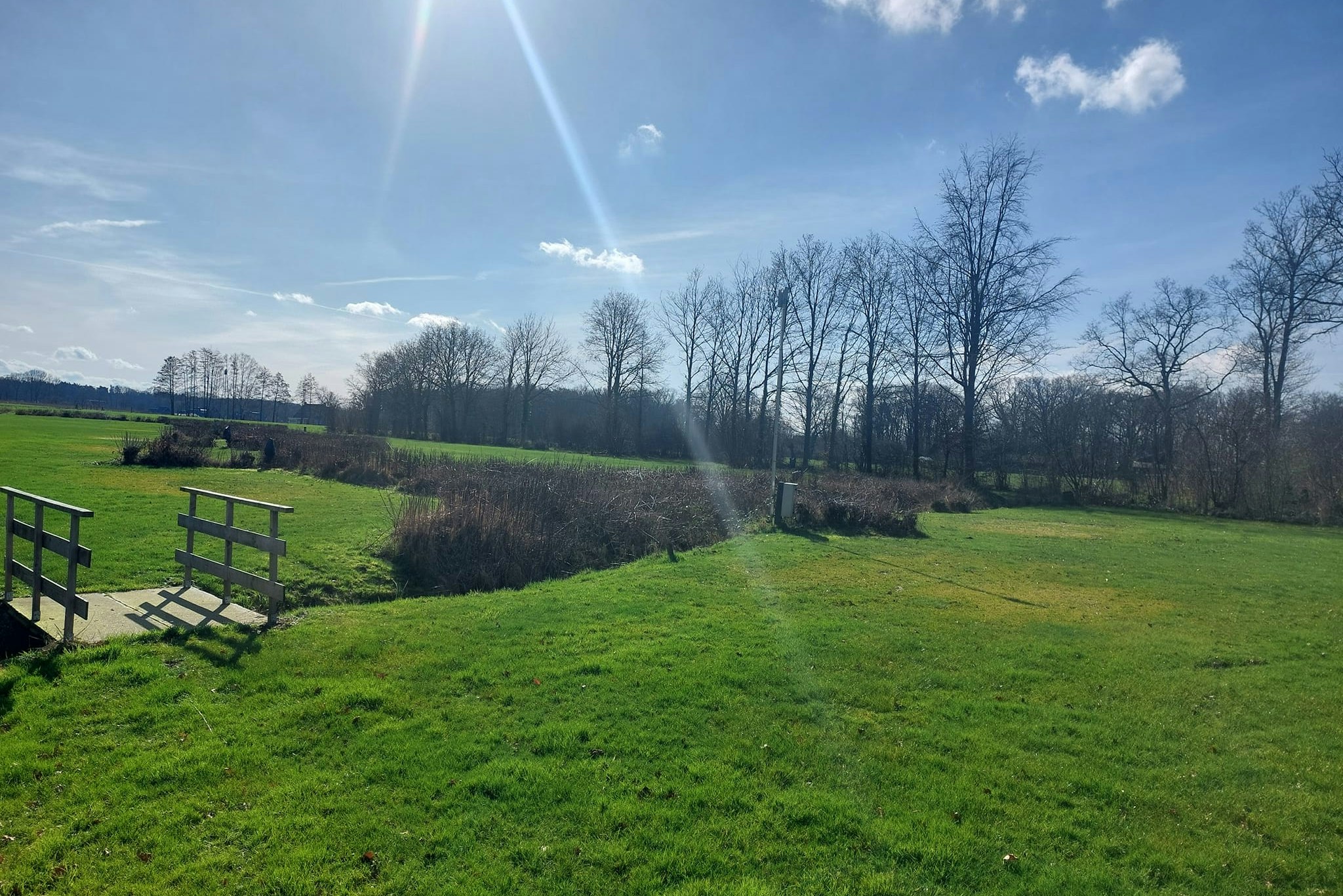 Camping Roderveld - Blick auf die grüne Wiese am Campingplatz