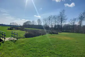 Camping Roderveld - Blick auf die grüne Wiese am Campingplatz