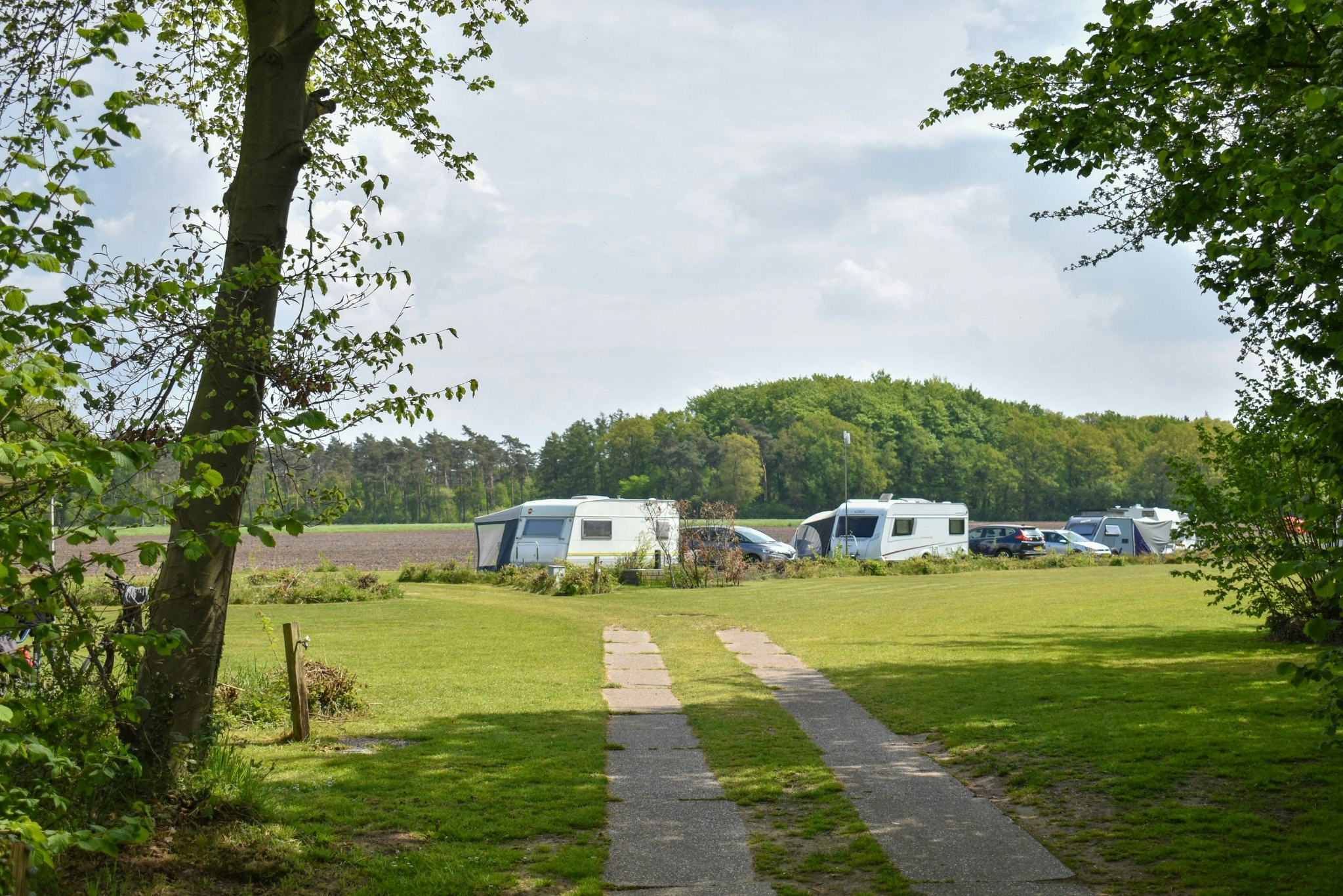 Camping Roderveld - Standplätze auf dem Campingplatz