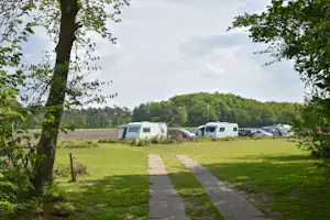 Camping Roderveld - Standplätze auf dem Campingplatz