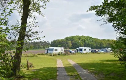 Camping Roderveld