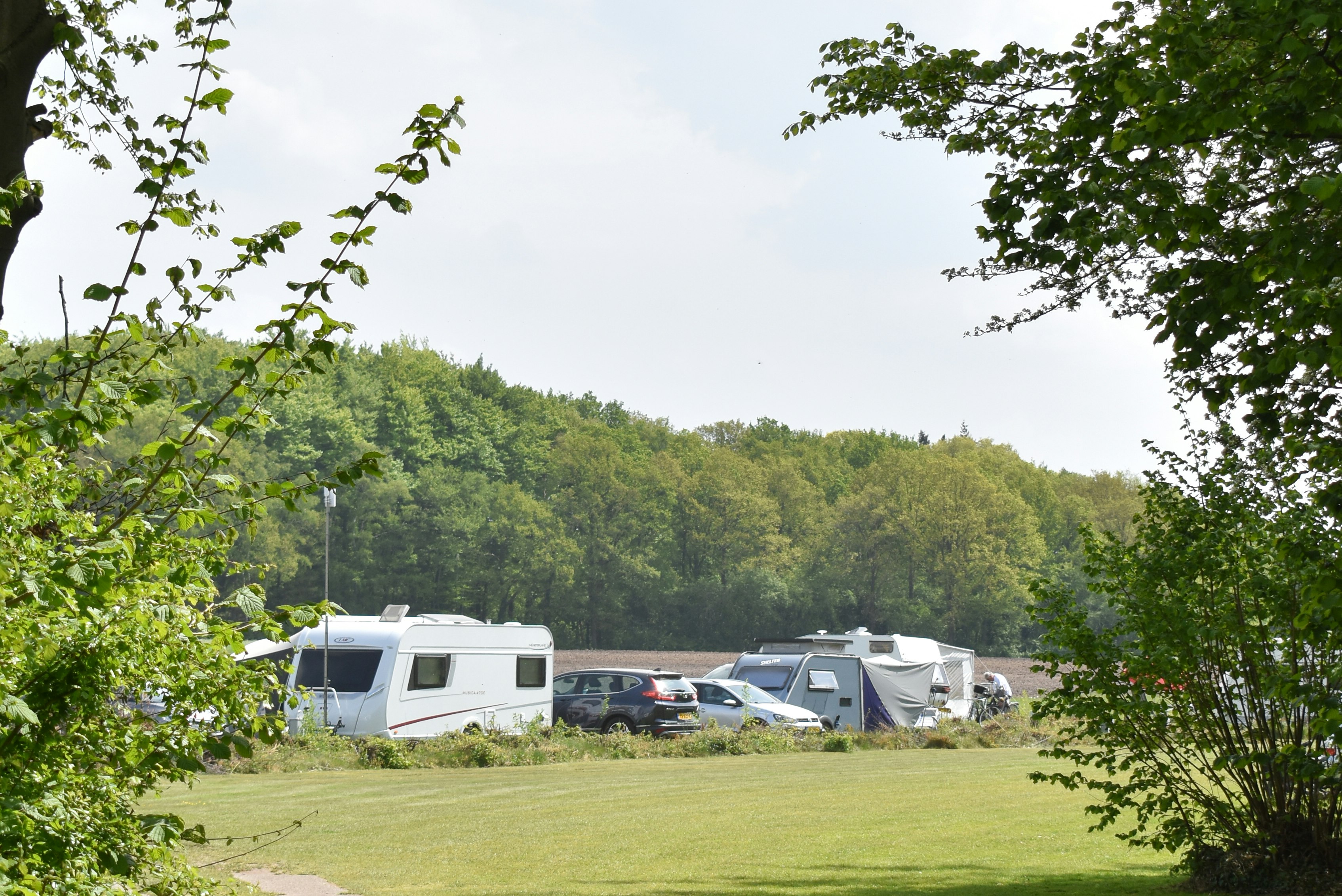 Camping Roderveld - Standplätze auf der Wiese auf dem Campingplatz