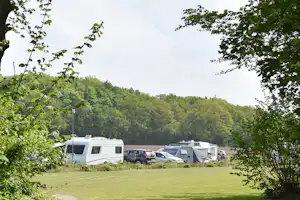 Camping Roderveld - Standplätze auf der Wiese auf dem Campingplatz