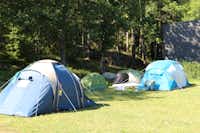 Camping Rösjöbaden - Zeltplatz vom Campingplatz im Schatten unter Bäumen