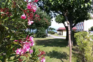 Camping Romantica - Blick auf die Mobilheime vom Campingplatz