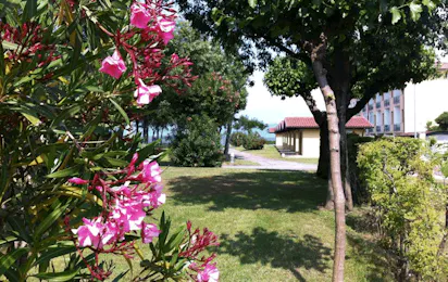 Camping Romantica