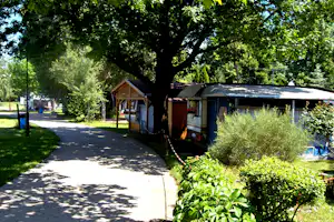 Wohnwagen auf einem Campingplatz am Weg, mit Markise und Holzverkleidung, umgeben von Bäumen und Sträuchern.
