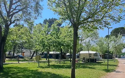 Romea Family Camping