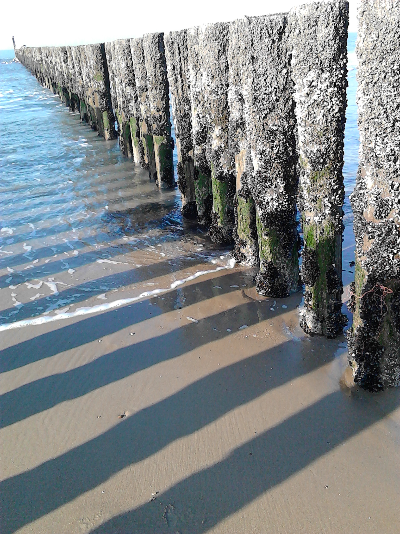 Camping Roos en Doorn