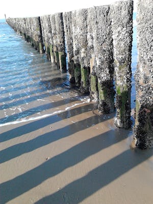 Camping Roos en Doorn