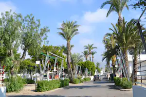Campingplatz-Palmenallee mit gepflastertem Weg, Hecken und vielen Palmen im Hintergrund, daneben Wohnwagen und Autos.