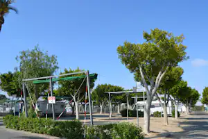 Baumreihe auf dem Campingplatz mit grünem Sonnensegel, Stellplätzen und Wohnmobilen im Hintergrund.
