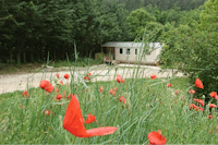 Camping Rose de Provence - Mobilheim auf dem Campingplatz