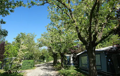 Camping Rose de Provence