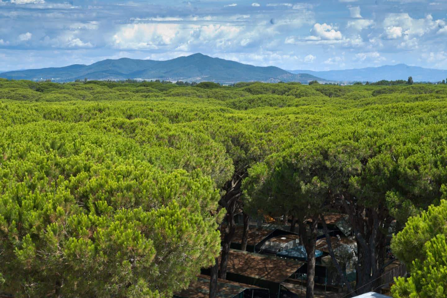 Camping Rosmarina - Campingplatz am Mittelmeer mit Wohnwagen- und Zeltstellplatz unter Bäumen und Blick auf das Meer