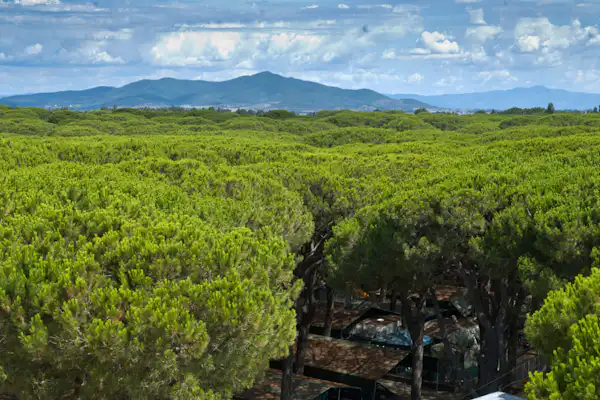 Camping Rosmarina