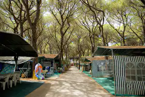 Camping-Gasse mit Zelten und Markisen unter hohen Bäumen, Sitzgelegenheiten und Tische am Wegesrand.