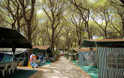 Camping Rosmarina