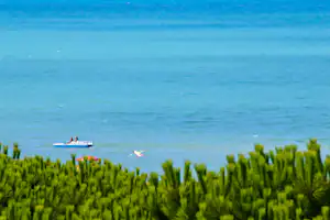 Kleines Boot auf blauem Meer, im Vordergrund grünes Ufergras und ein Vogel am Strand.