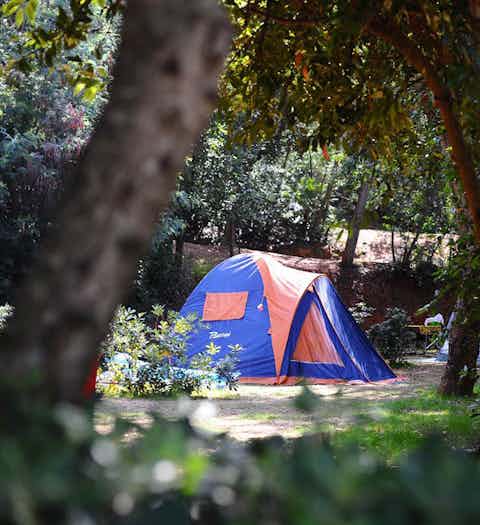 Camping Rosselba le Palme