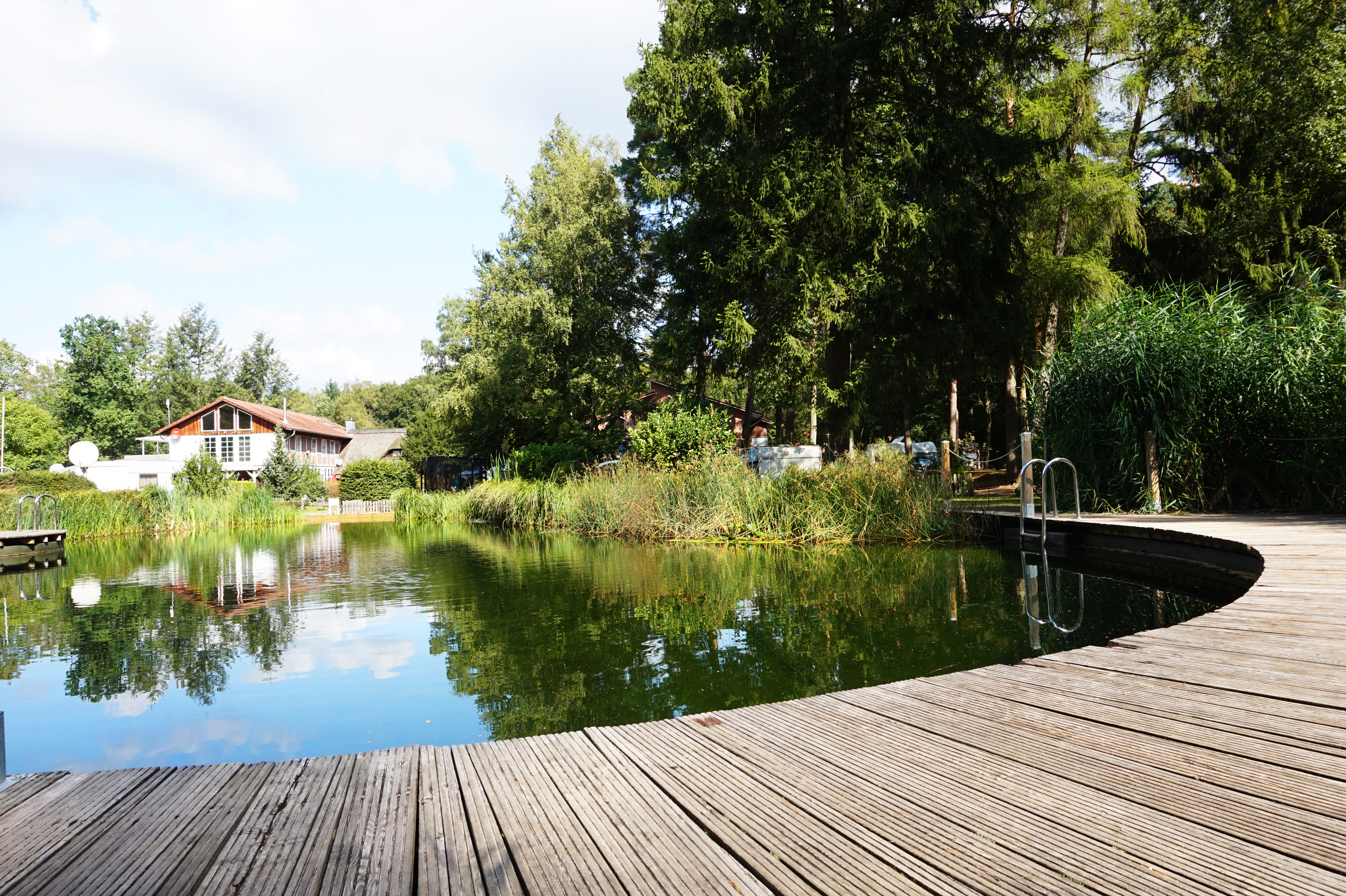 Camping Rote Schleuse - Badeteich - Steg.jpg