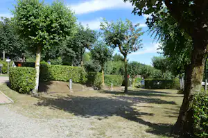 Camping Royal - Zeltplätze im Schatten der Bäume auf dem Campingplatz