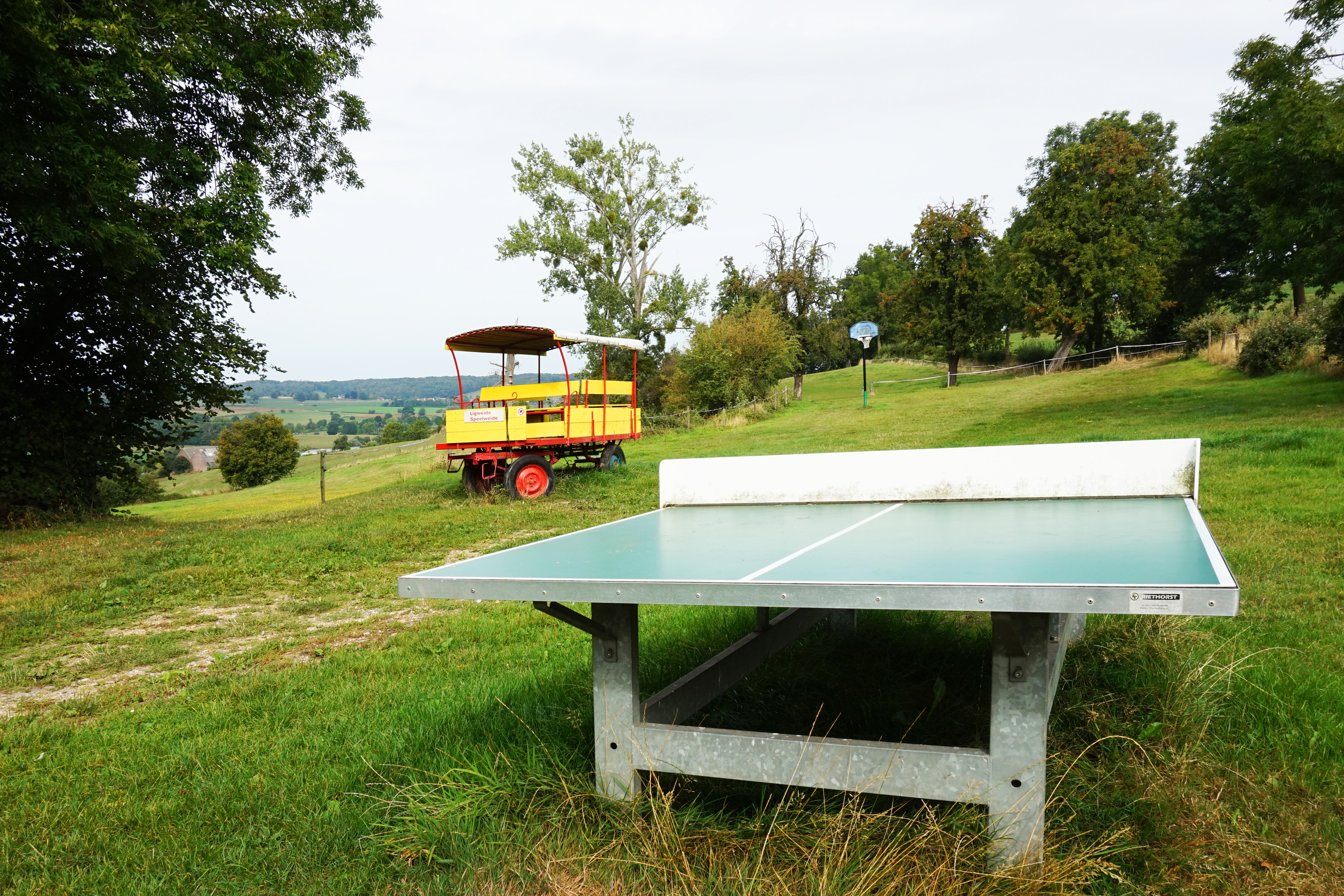 Camping Rozenhof - Sportplatz.jpg