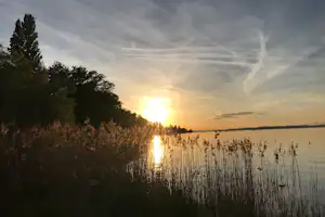 Sonnenuntergang am See mit Schilf im Vordergrund, Bäumen am Ufer und spiegelndem Licht auf dem Wasser.